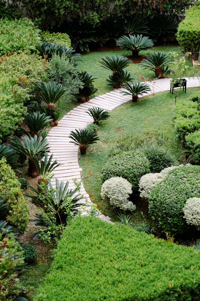 Tranquil garden with a wooden boardwalk surrounded by vibrant greenery and topiary.